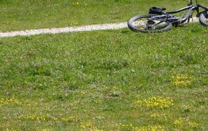 Sortie du 3 Avril 2024