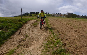 Sortie du 3 Avril 2024