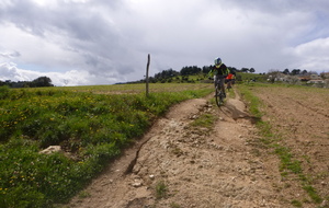 Sortie du 3 Avril 2024