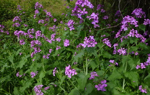 Sortie du 3 Avril 2024