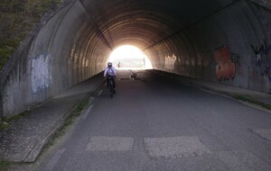 Sortie du 14 Janvier 2025