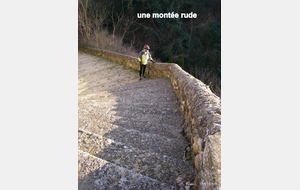 Sortie du 17 Janvier 2025