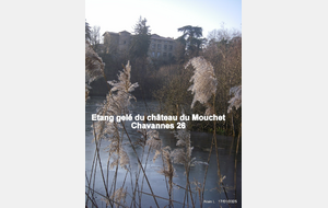 Sortie du 17 Janvier 2025