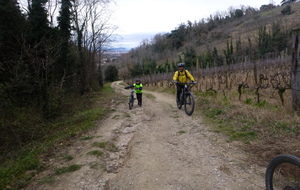 Sortie du 22 Janvier 2025