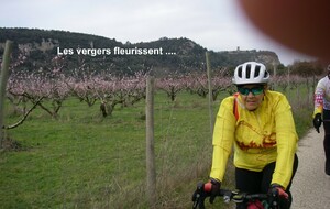 Sortie du 6 Mars 2025