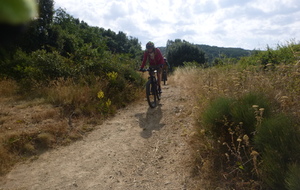 Sortie du 23 Juin 2025