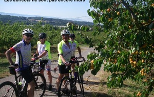 Sortie du 1er Juillet 2025