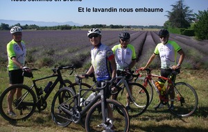 Sortie du 1er Juillet 2025