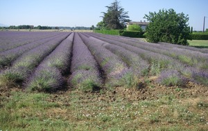 Sortie du 1er Juillet 2025