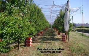 Sortie du 5 Juillet 2025