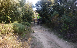 Sortie du 15 Oct 2025