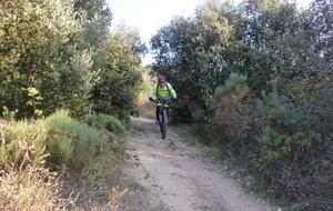 Sortie du 15 Oct 2025