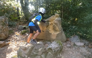 Sortie du 15 Oct 2025