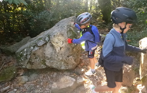 Sortie du 15 Oct 2025