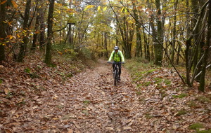 Sortie du 3 Nov 2025