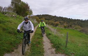 Sortie du 3 Nov 2025