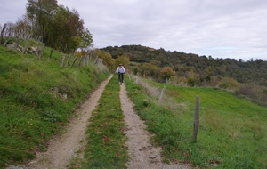 Sortie du 3 Nov 2025