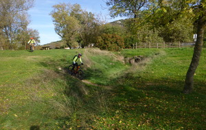 Sortie du 5 Novembre 2025