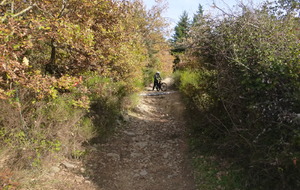 Sortie du 10 Nov 2025