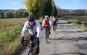 Sortie du 11 Nov 2025