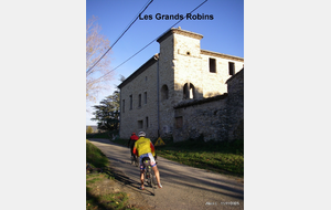 Sortie du 11 Nov 2025