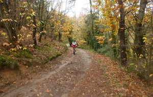 Sortie du 17 Nov 2025