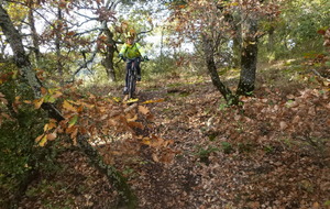 Sortie du 19 Nov 2025