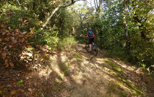 Sortie du 19 Nov 2025