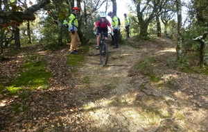 Sortie du 19 Nov 2025