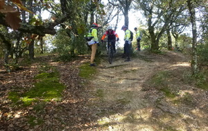 Sortie du 19 Nov 2025