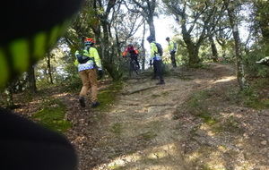 Sortie du 19 Nov 2025