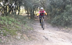 Sortie du 19 Nov 2025