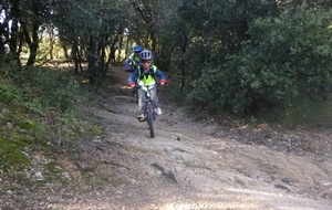 Sortie du 19 Nov 2025