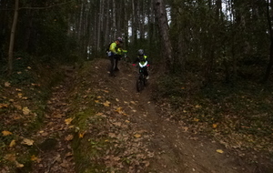 Sortie du 10 Déc 2025