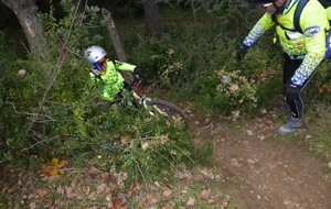 Sortie du 10 Déc 2025