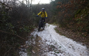 Sortie du 12 Jan 2026