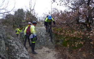 Sortie du 21 Jan 2026