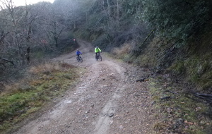 Sortie du 26 Janvier 2026