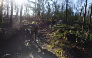 Sortie du 26 Janvier 2026