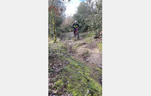 Sortie du 26 Janvier 2026