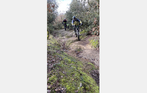 Sortie du 26 Janvier 2026