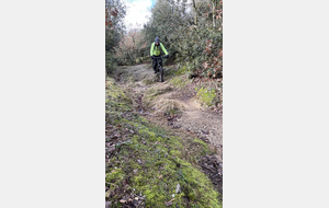 Sortie du 26 Janvier 2026