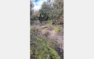 Sortie du 26 Janvier 2026