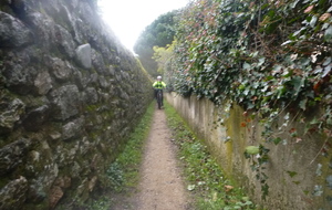 sortie du 28 Janvier 2026