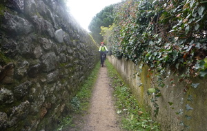 sortie du 28 Janvier 2026