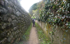 sortie du 28 Janvier 2026