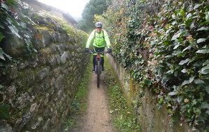 sortie du 28 Janvier 2026