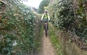 sortie du 28 Janvier 2026