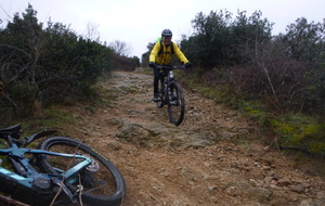 Sortie du 2 Février 2026