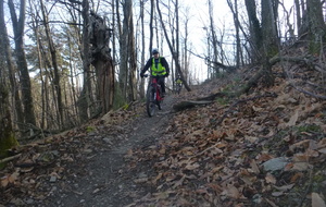 Sortie du 9 Février 2026